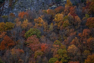 Obraz premium fall in the blue ridge mountains