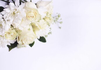 White roses and white chrysanthemums on a white background. Festive flower arrangement. Background for a greeting card.