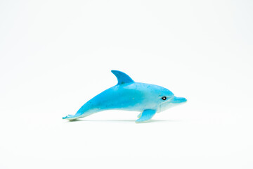 White and blue Dolphin on white background