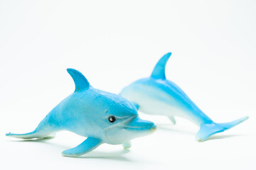 White and blue Dolphins and Toys on white background