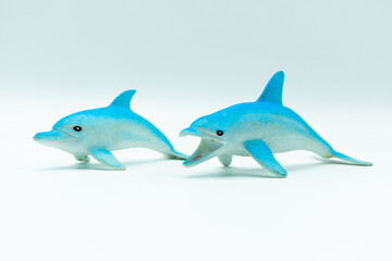 Pale blue and white Dolphins on white