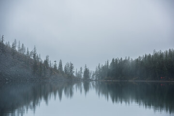 Tranquil meditative misty scenery of glacial lake with pointy fir tops reflection at early morning....