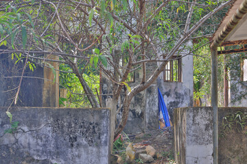 the nature path at Sai Kung East Country Park 22 Oxct 2022