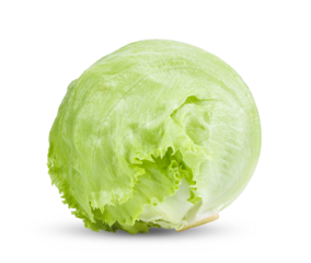 Green Iceberg lettuce on transparent png