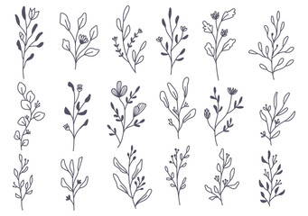 Hand drawn floral branches doodle 