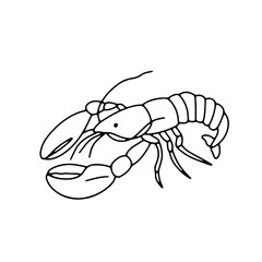 Vector lobster isolated on white background. Hand drawn outline doodle illustration ocean or underwater animal omar