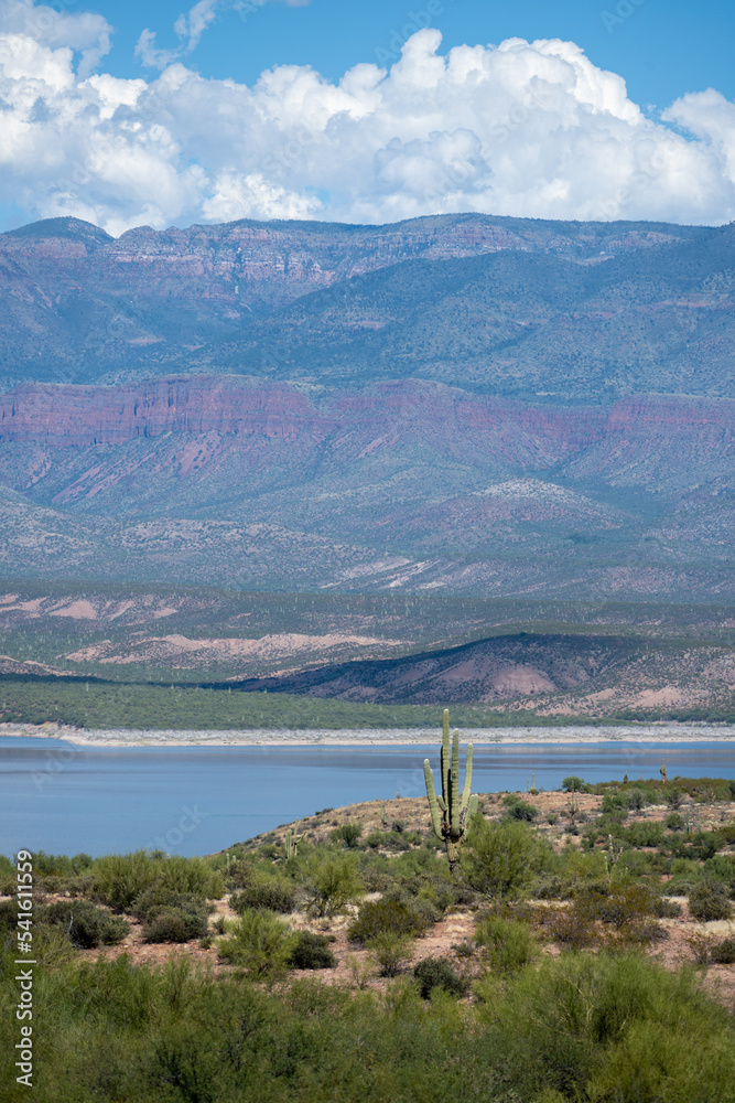 Wall mural Overlooking a valley in Tonto National Forest, Arizona