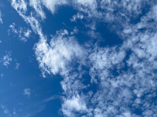 Fototapeta premium 雲と青空