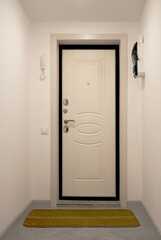 Entrance metal door with a black jamb, sheathed in light plastic