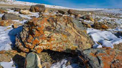 Boulders are scattered on a snow-covered high-altitude plateau. Cracks and multicolored lichens are visible on the weathered surface: orange, yellow, green. Blue sky. Close-up. Altai