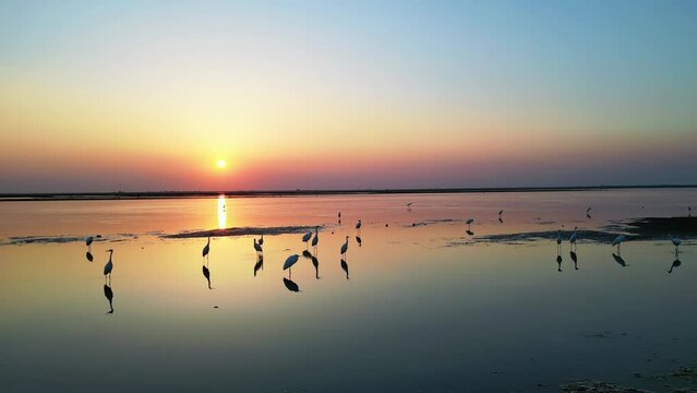 Migratory Bird Nature Reserve,