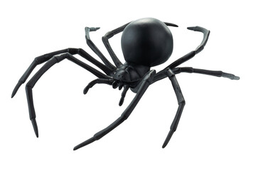 Fake rubber spider toy isolated over a white background. black spider toy isolated on a transparent...