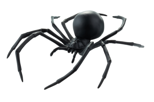 Fake rubber spider toy isolated over a white background. black spider toy isolated on a transparent background. Comic horror for Halloween.