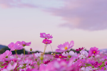 秋の夕空