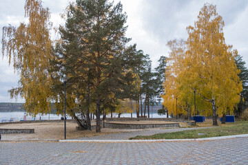 Inspirational natural autumn landscape. Autumn city park on the lake. Sunny warm day, golden autumn. Yellow birches in the city park on the embankment. Nostalgia for the Motherland.