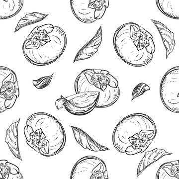 Detailed hand drawn black and white illustration seamless pattern of persimmon, date-plum, leaf. sketch. Vector. Elements in graphic style label, card, sticker, menu, package.