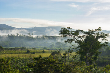 Alto Mayo Valley, where one of the best coffees in the world is grown