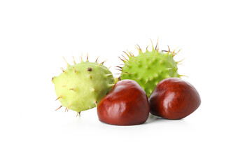 Fresh and ripe chestnuts, isolated on white background