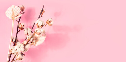 Obraz na płótnie Canvas Branch with cotton flowers