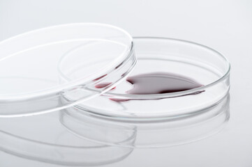 Close-up of blood sample or red chemical liquid on petri dish in the medical laboratory- analyzes and diagnostics concept- on white background