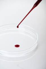 Close-up of pipette drop blood sample or red liquid on petri dish in the medical laboratory- analyzes and diagnostics concept- on white background