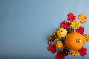Beautiful Thanksgiving background Fall season leaves pumpkin pinecone acorns