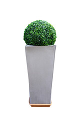 Cut out a potted plant in a metal standee. Round green bush in a silver column for picture composings