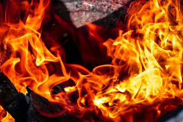 Fototapeta premium Burning fire close up. Bright orange and red flames on a dark background. Open flame heating. Problems with heating and gas.
