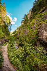 Mountain landscape in mountains, Juranova dolina - valley in The Western Tatras national park. Slovakia, oravice, Orava region. © Zedspider