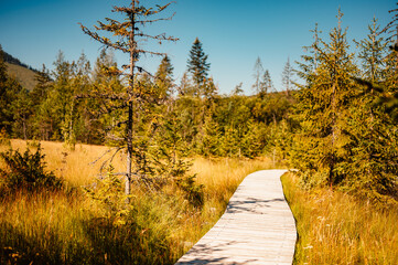 Mountain landscape in Slovakia mountains, Juranova dolina - valley in The Western Tatras national park, oravice, Orava region. Educational trail through the bog © Zedspider
