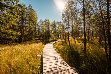 Mountain landscape in Slovakia mountains, Juranova dolina - valley in The Western Tatras national park, oravice, Orava region. Educational trail through the bog © Zedspider
