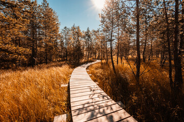 Mountain landscape in Slovakia mountains, Juranova dolina - valley in The Western Tatras national park, oravice, Orava region. Educational trail through the bog © Zedspider
