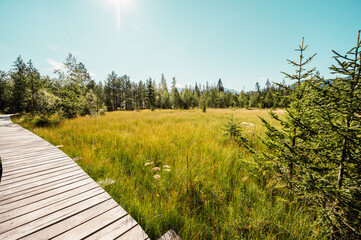 Mountain landscape in Slovakia mountains, Juranova dolina - valley in The Western Tatras national park, oravice, Orava region. Educational trail through the bog © Zedspider