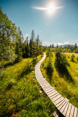 Mountain landscape in Slovakia mountains, Juranova dolina - valley in The Western Tatras national park, oravice, Orava region. Educational trail through the bog © Zedspider