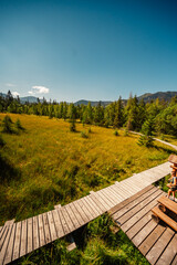 Mountain landscape in Slovakia mountains, Juranova dolina - valley in The Western Tatras national park, oravice, Orava region. Educational trail through the bog © Zedspider