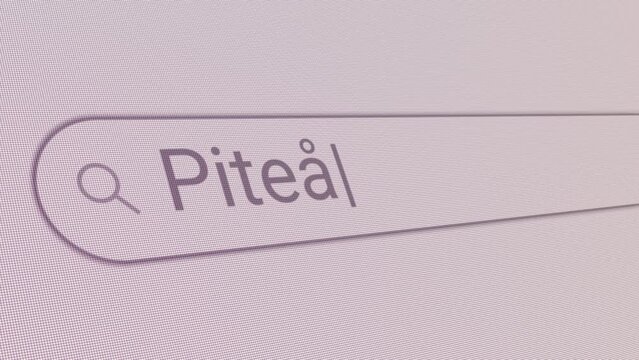 Search Bar Pitea 
Close Up Single Line Typing Text Box Layout Web Database Browser Engine Concept