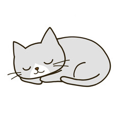 丸まって眠るシンプルなハチワレグレー猫