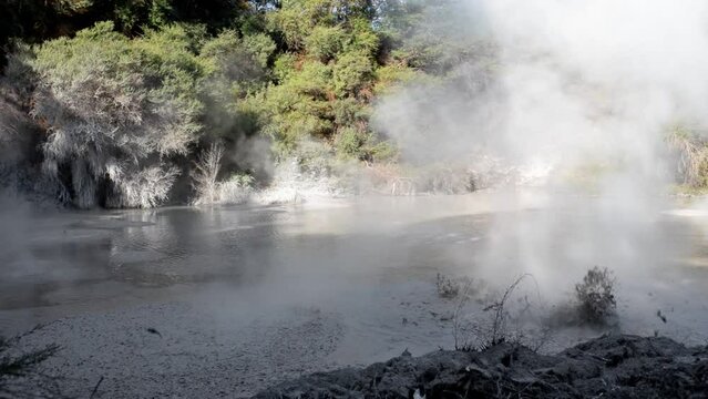 Static shot of large bubbles rising within the mud pools with steam dissipating at Waiotapu, Rotorua, New Zealand