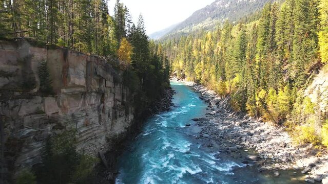 forward dolly in aerial zoom shot of Rearguard Falls drone flying down the river on a sunny day in autumn in a forest environment and the fraser river