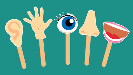 Ear, hand, eye, nose, mouth on sticks