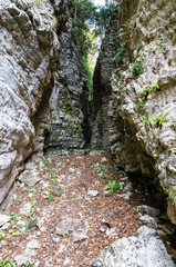 La splendida forra del Bus del Buson vicino a Belluno con le sue rocce stratificate in una giornata autunnale