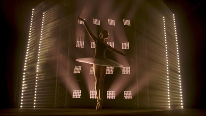 Young ballerina in white tutu dancing in pointe shoes on tiptoes against backdrop of smoke and spotlights with soft white light. Silhouette of flexible woman ballet dancer performing dance pas in dark © kinomaster