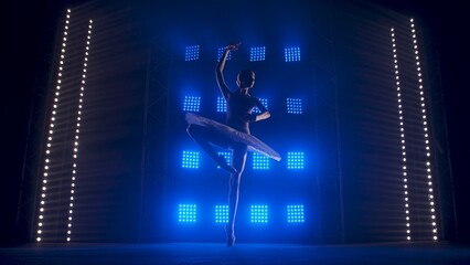 Young ballet dancer gracefully dancing against background of smoke and spotlights with soft blue light. Silhouette of a beautiful slim figure in white swan tutu and pointe shoes.