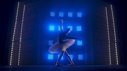 Young ballet dancer gracefully dancing against background of smoke and spotlights with soft blue light. Silhouette of a beautiful slim figure in white swan tutu and pointe shoes. © kinomaster