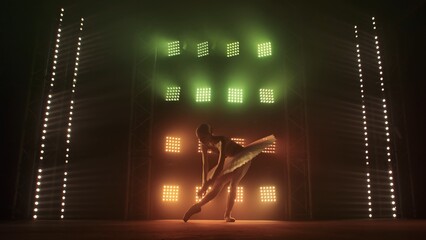 Silhouette of ballerina in form of white swan dancing ballet elements against background of smoke and spotlights with soft red green light. Woman in tutu and pointe dances gracefully in the dark. © kinomaster