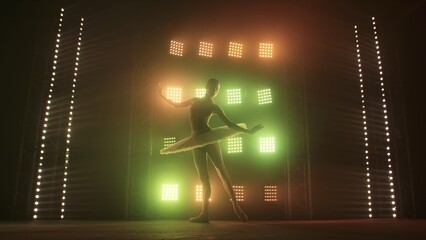 Silhouette of ballerina in form of white swan dancing ballet elements against background of smoke and spotlights with soft red green light. Woman in tutu and pointe dances gracefully in the dark. © kinomaster