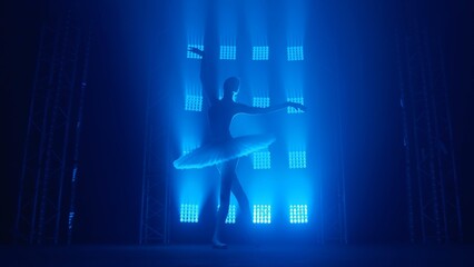 Silhouette of ballerina in white swan tutu dancing gracefully against the backdrop of smoke and spotlights with soft blue light. Young classical ballet dancer practicing elements of choreography.