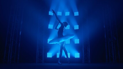 Silhouette of ballerina in white swan tutu dancing gracefully against the backdrop of smoke and spotlights with soft blue light. Young classical ballet dancer practicing elements of choreography. © kinomaster