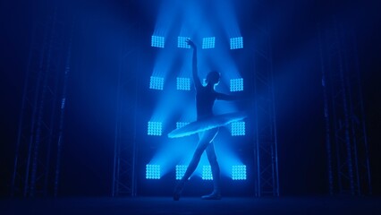 Silhouette of ballerina in white swan tutu dancing gracefully against the backdrop of smoke and spotlights with soft blue light. Young classical ballet dancer practicing elements of choreography. © kinomaster