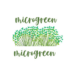 Micro green illustration for your design